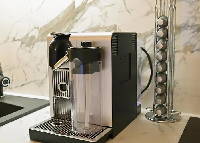 Monte Royal 즐라티보